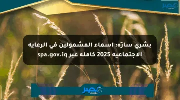 بشرى سارّة: أسماء المشمولين في الرعاية الاجتماعية 2025 كاملة عبر spa.gov.iq